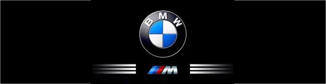 bmw logo