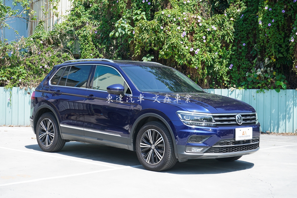 福斯 2020 TIGUAN 280 TSI Elegance 2