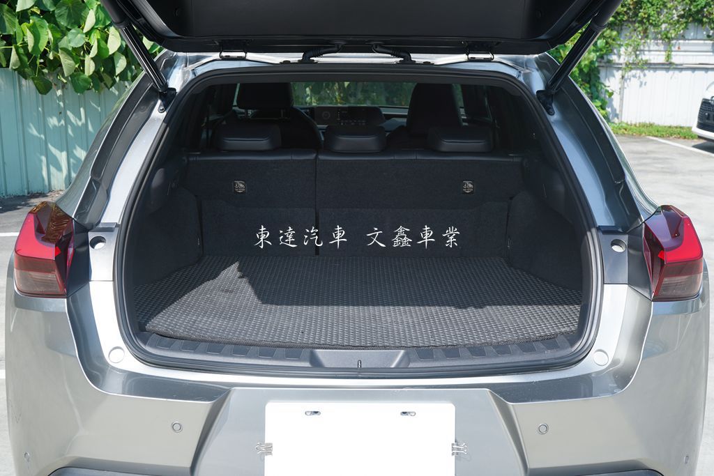 2021 Lexus UX250h 2.0豪華版8