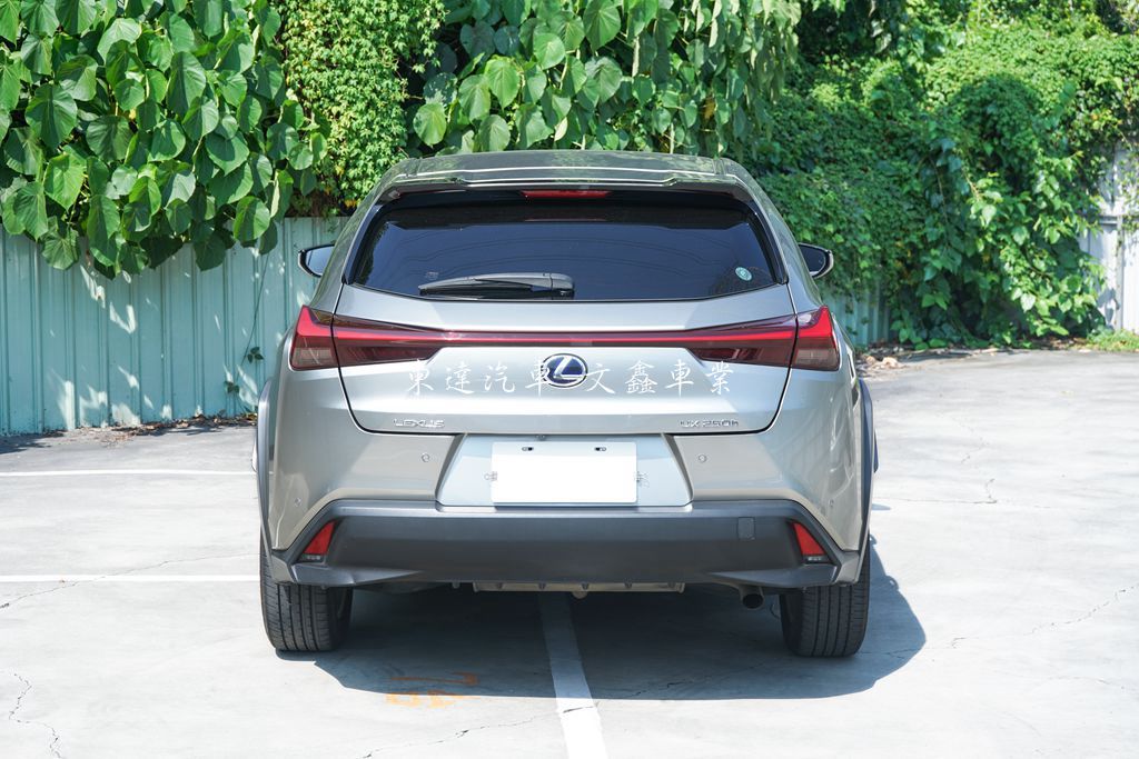 2021 Lexus UX250h 2.0豪華版5
